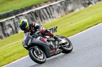 Oulton-Park-14th-March-2020;PJ-Motorsport-Photography-2020;anglesey;brands-hatch;cadwell-park;croft;donington-park;enduro-digital-images;event-digital-images;eventdigitalimages;mallory;no-limits;oulton-park;peter-wileman-photography;racing-digital-images;silverstone;snetterton;trackday-digital-images;trackday-photos;vmcc-banbury-run;welsh-2-day-enduro